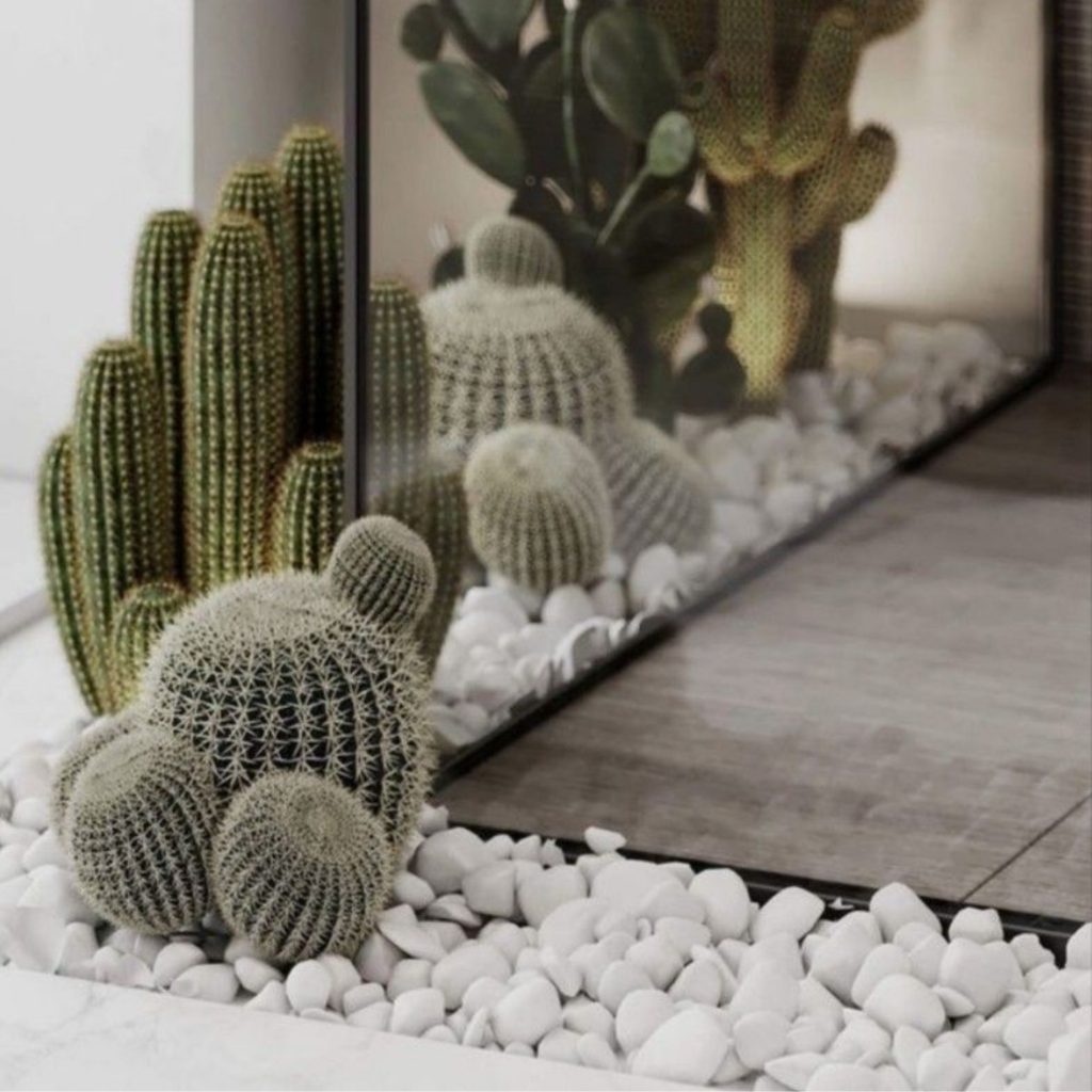 Composição de cactos sobre pedras brancas num ambiente minimalista, integrada num design de interiores que promove bem estar e reforça a saúde e bem estar através da presença de elementos naturais. A utilização de plantas contribui para a saúde mental e intensifica o bem estar, mostrando como o design de interiores pode apoiar a saúde e bem estar e criar um espaço que favorece a saúde mental.