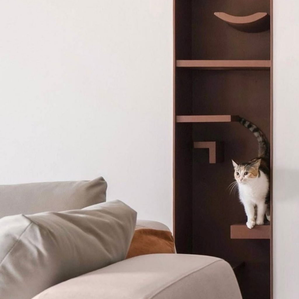 Um gato explora uma estrutura vertical integrada, num ambiente onde a casa incorpora soluções pensadas para animais de estimação que vivem o espaço em altura. A composição geométrica, a madeira escura e a decoração contida revelam um design de interiores que privilegia estímulos, arrumação e superfícies adequadas ao comportamento felino. A casa torna-se assim um território pet‑friendly, permitindo que os animais de estimação se movimentem com autonomia, enquanto o ambiente mantém coerência estética. O resultado é um espaço pet‑friendly onde o design de interiores e a decoração se articulam para responder tanto a gatos jovens e ativos como a animais sénior com necessidades específicas.