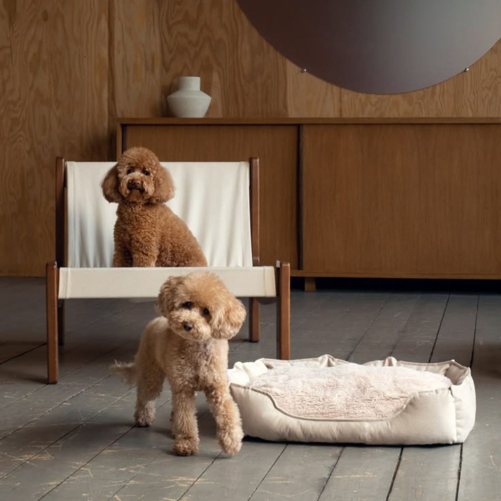 Dois cães de porte pequeno ocupam um espaço sereno onde a casa foi pensada para animais de estimação, com percursos amplos e zonas de descanso que refletem um ambiente verdadeiramente pet‑friendly. A madeira clara, as formas suaves e a decoração minimalista revelam um design de interiores que respeita a natureza mais terrena dos cães, oferecendo conforto e segurança. Neste cenário, a casa adapta-se ao ritmo dos animais de estimação, criando um espaço pet‑friendly onde o design de interiores e a decoração trabalham em harmonia para acolher diferentes idades e níveis de energia.