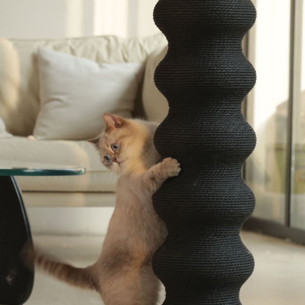 Um gato alonga-se num arranhador de textura robusta, uma solução essencial para proteger a casa e garantir o bem‑estar dos animais de estimação. A peça vertical integra-se na decoração e no design de interiores, oferecendo uma superfície adequada para arranhar e evitando danos em mobiliário e tecidos. Neste ambiente pet‑friendly, a casa responde às necessidades naturais dos animais de estimação, enquanto o design de interiores e a decoração mantêm coerência estética num espaço verdadeiramente pet‑friendly.