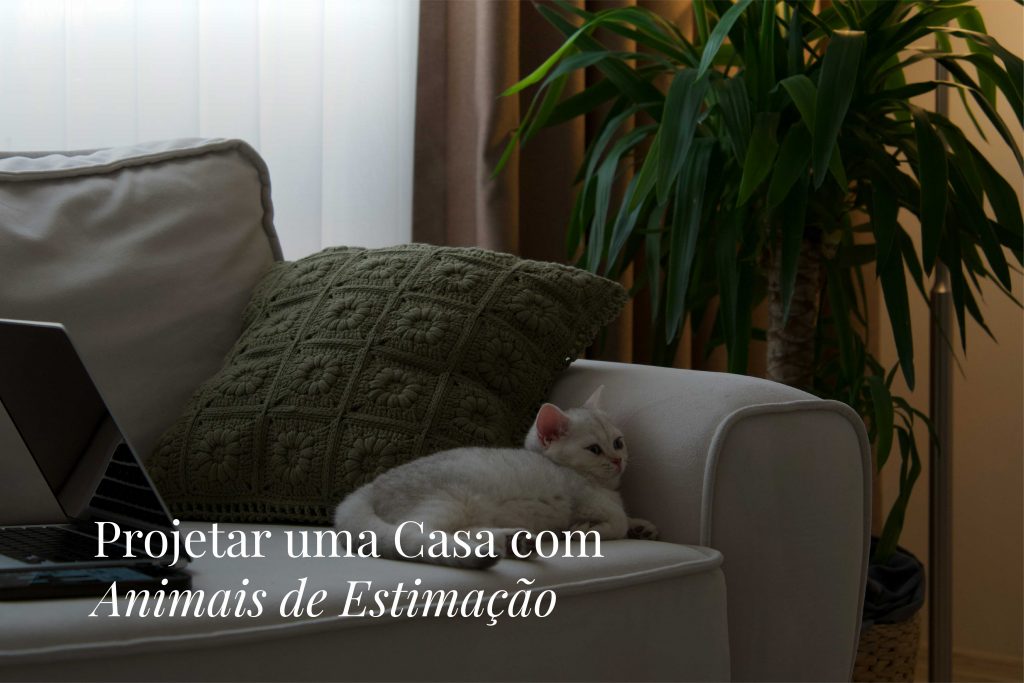 Projetar uma casa com animais de estimação. Um sofá claro com uma manta suave e um gato relaxado transmite a serenidade de uma casa pensada para animais de estimação, onde o ambiente pet‑friendly se integra de forma elegante no design de interiores. A luz suave, a planta de grande porte e a decoração minimalista reforçam a ideia de uma casa acolhedora e funcional, criada para equilibrar estética, conforto e bem‑estar de animais de estimação num espaço verdadeiramente pet‑friendly, alinhado com um conceito de design de interiores contemporâneo e uma decoração de quiet luxury.