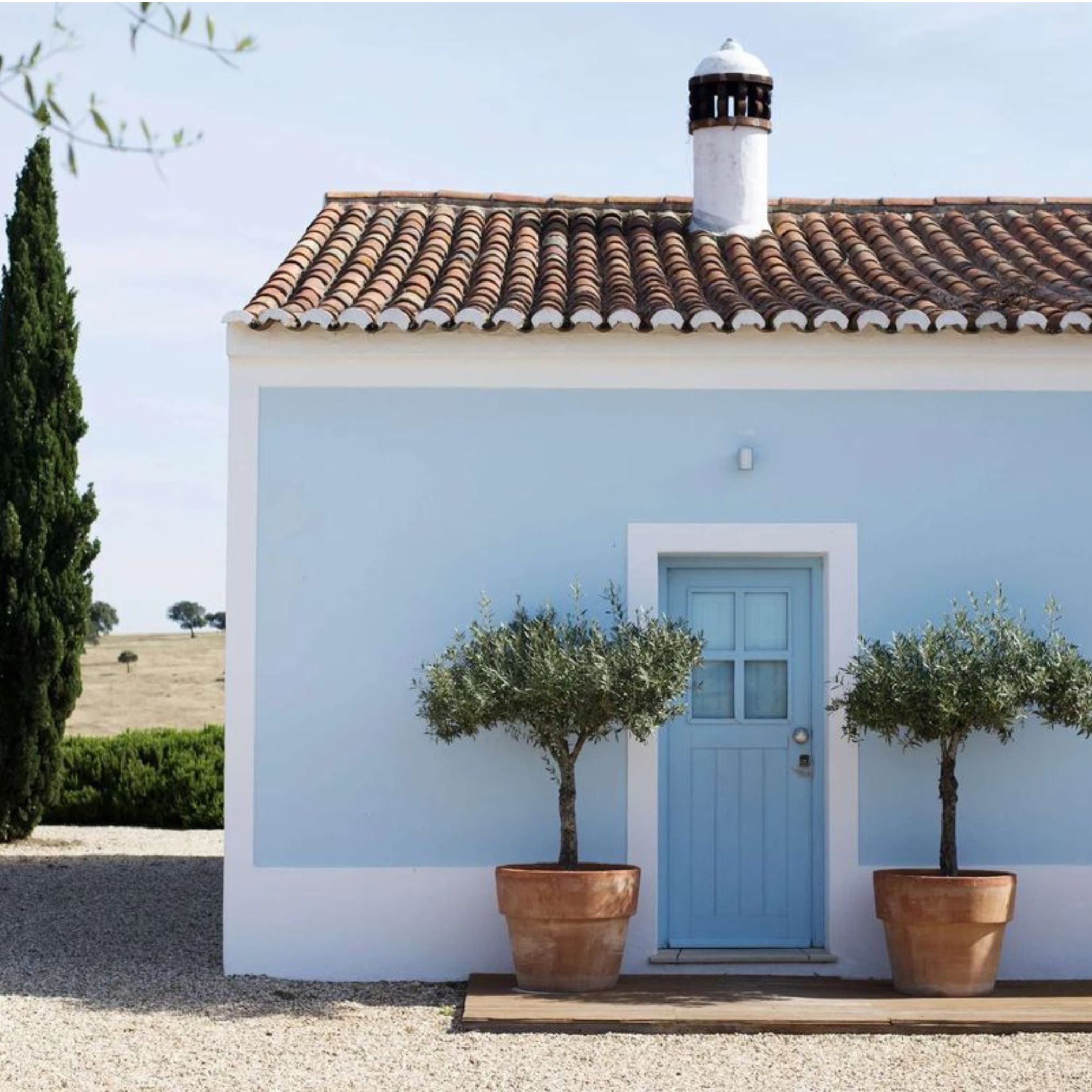 Fachada luminosa que traduz a essência de uma casa algarvia, enquadrada no espírito das casas de férias no algarve e na simplicidade das Casas do algarve, evocando o carácter das Casas no algarve e sugerindo ambientes de decoração de verão que dialogam com princípios de design de interiores; As oliveiras em vasos reforçam a presença de uma casa algarvia, articulando elementos das casas de férias no algarve com referências às Casas do algarve, criando continuidade com o estilo das Casas no algarve e com a estética de decoração de verão aplicada ao design de interiores; A porta azul intensifica a vibração de uma casa algarvia, evocando a atmosfera das casas de férias no algarve e a tradição das Casas do algarve, alinhando-se com o conforto das Casas no algarve e com a linguagem descontraída da decoração de verão que inspira o design de interiores; A luz quente reforça novamente a imagem de uma casa algarvia, remetendo para o ambiente das casas de férias no algarve e para os materiais das Casas do algarve, criando paralelos com o carácter das Casas no algarve e com os detalhes de decoração de verão que moldam o design de interiores; O enquadramento final celebra a autenticidade de uma casa algarvia, a atmosfera das casas de férias no algarve, a estética das Casas do algarve, o estilo das Casas no algarve, a vibração da decoração de verão e a inspiração contínua do design de interiores.